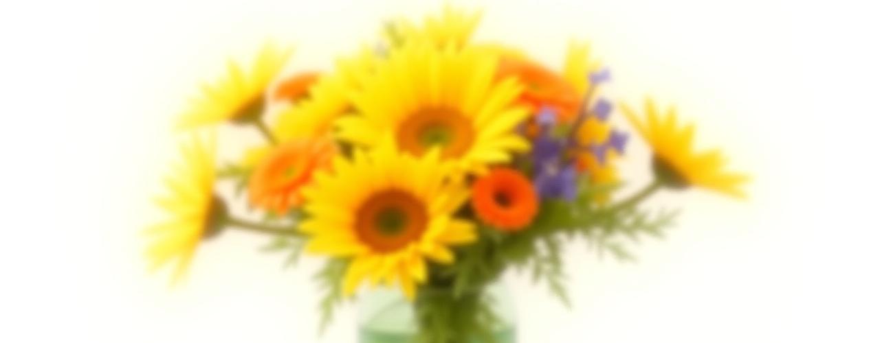 Strauß Sonnenaufgang Sympathie